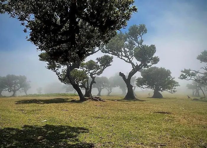 Getaway To Blue Paradise At Madeira Island Apartamento