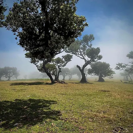 Getaway To Blue Paradise At Madeira Island 公寓