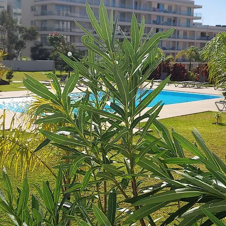 Getaway To Blue Paradise At Madeira Island דירה