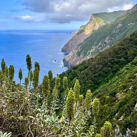 아파트 Getaway To Blue Paradise At Madeira Island *