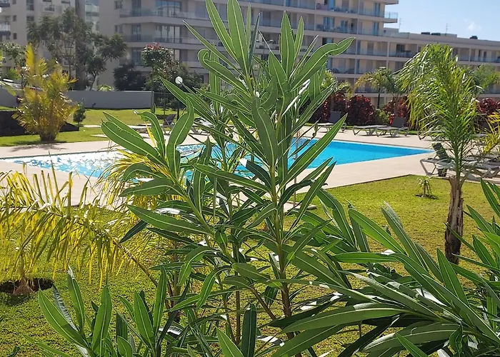 Getaway To Blue Paradise At Madeira Island Appartement