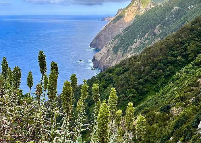 Apartment Getaway To Blue Paradise At Madeira Island *